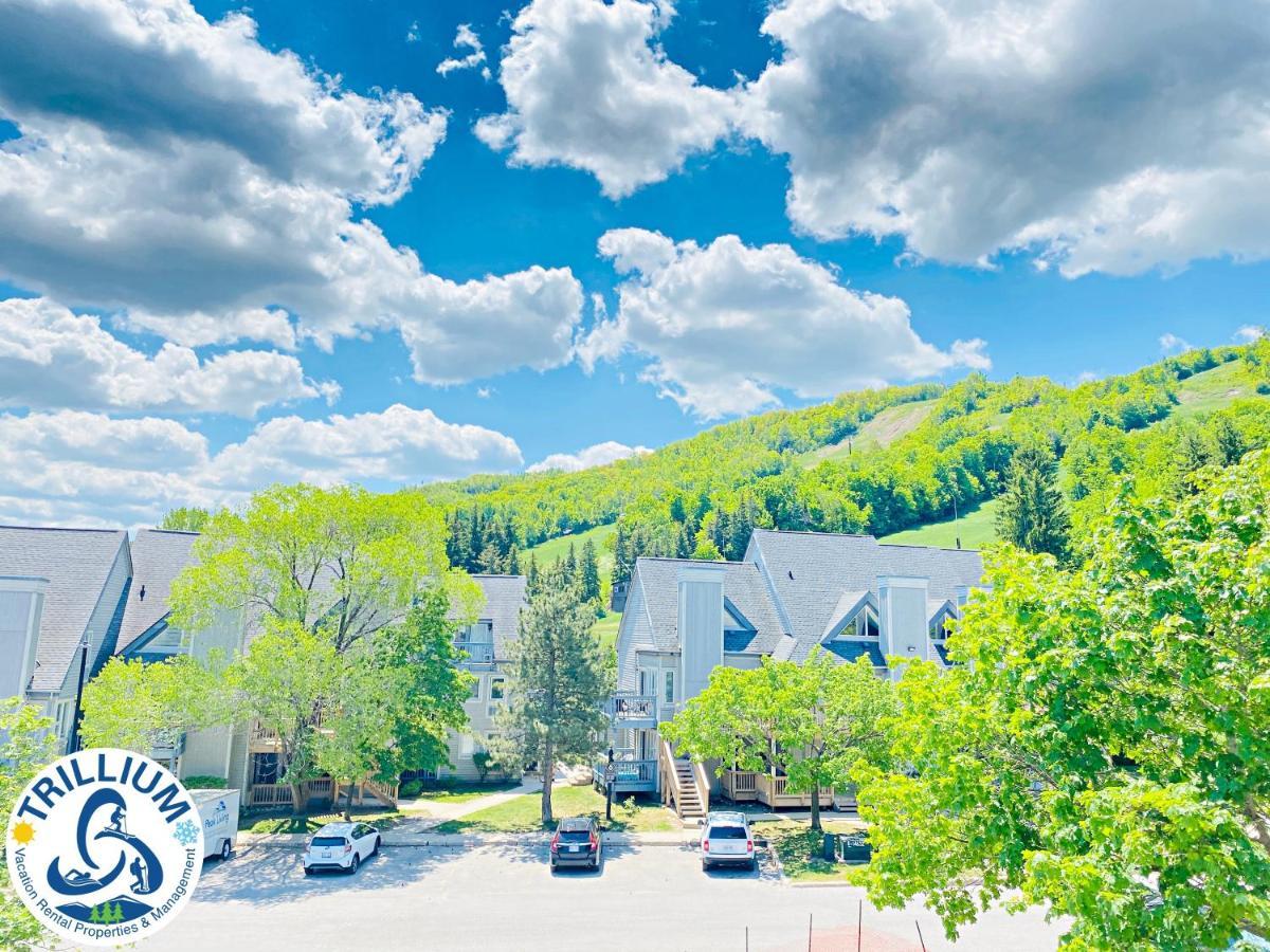 ההרים הכחולים Blue Mountain Suites מראה חיצוני תמונה