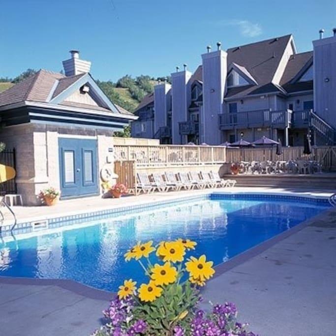 ההרים הכחולים Blue Mountain Suites מראה חיצוני תמונה